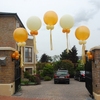 Buzz Events - Balloon Dcor 9 image